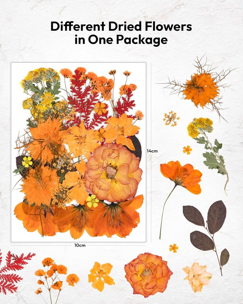 Resiners Dried Flowers, 100Pcs Pressed Flowers for Craft Real Natural Dried Flowers Dry Leaves Kit for DIY Making Crafts Resin Soap Candle Scrapbook Supplies Card Making Jewelry - Image 2
